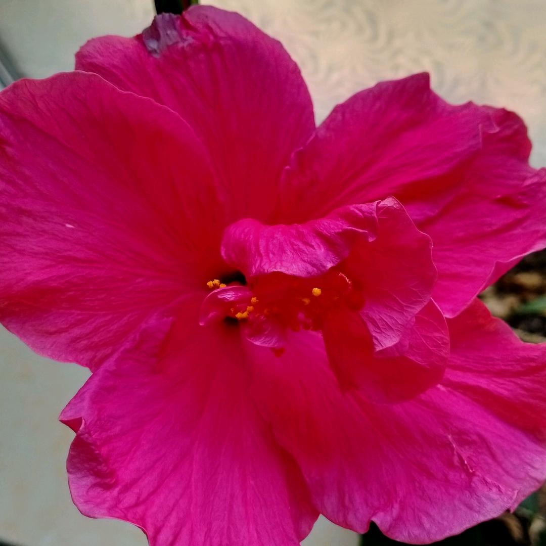 用户5492983059213家和万事兴