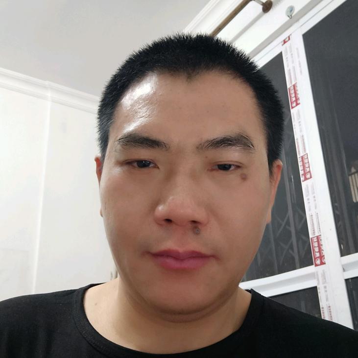 静静的白桦林