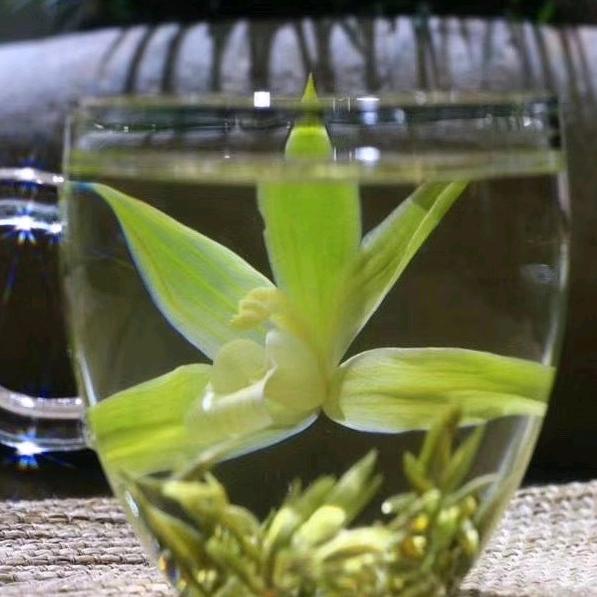 正统茗茶罗海英