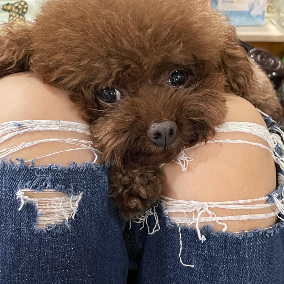 vicki