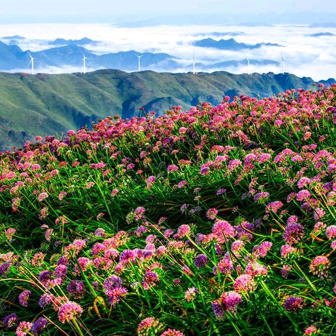 余生～爱～自己