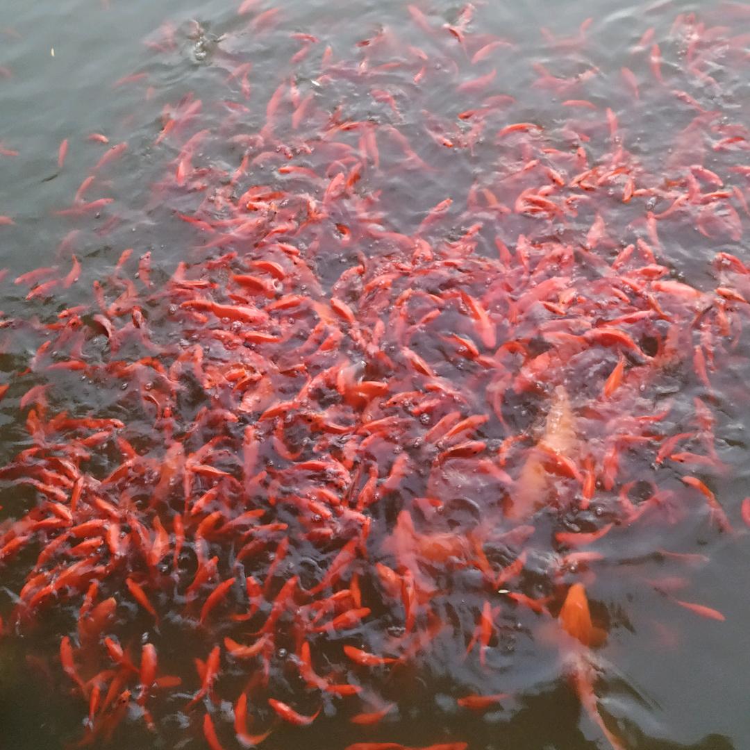 倾.听ヽ曌
