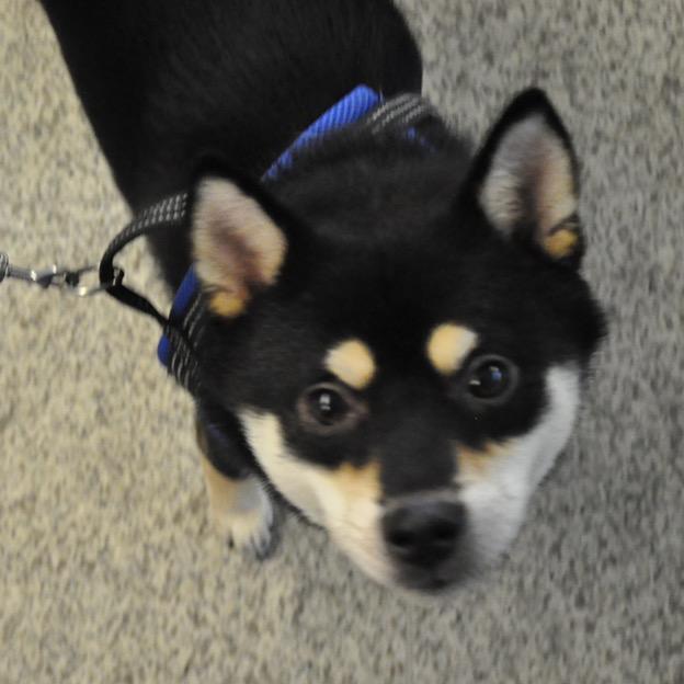 抽象的那个男的