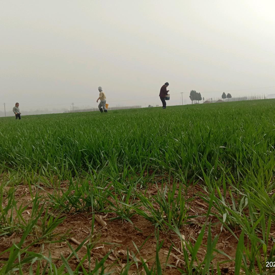 中国石油肃宁伟南路23站麟小森