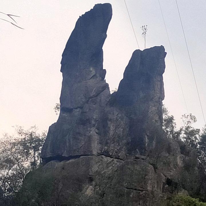 粤瑶