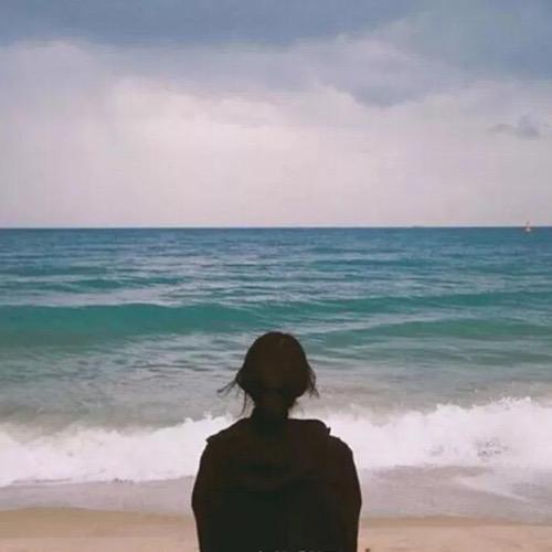 橄榄黄的褶皮黧豆