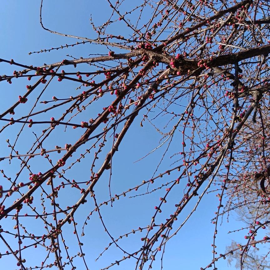 北安牛尚司自助烤肉