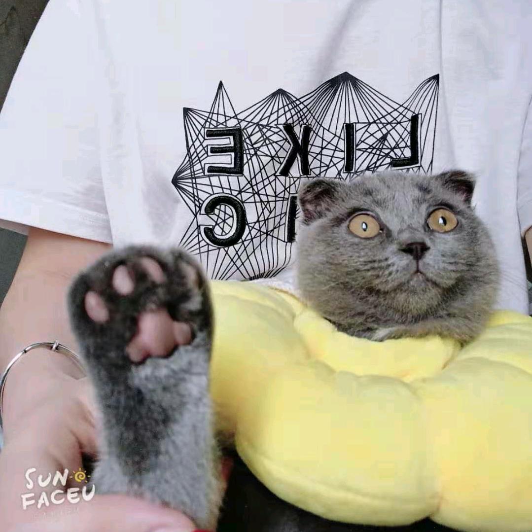 但愿