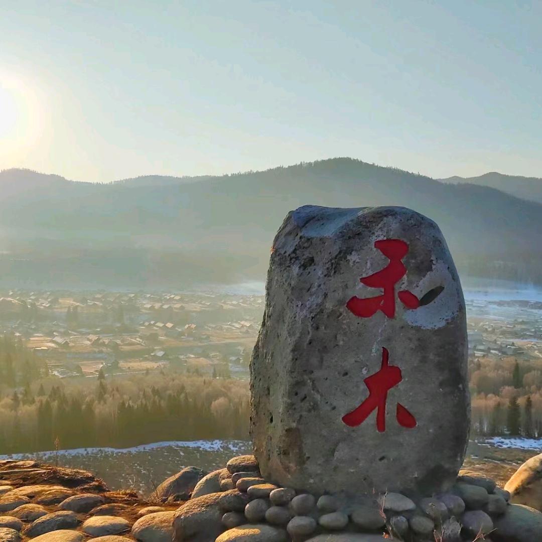 为学以致用