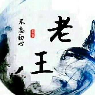 碰碰皮