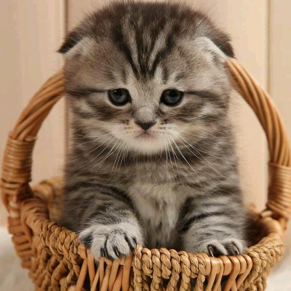 闲着没事逛一逛