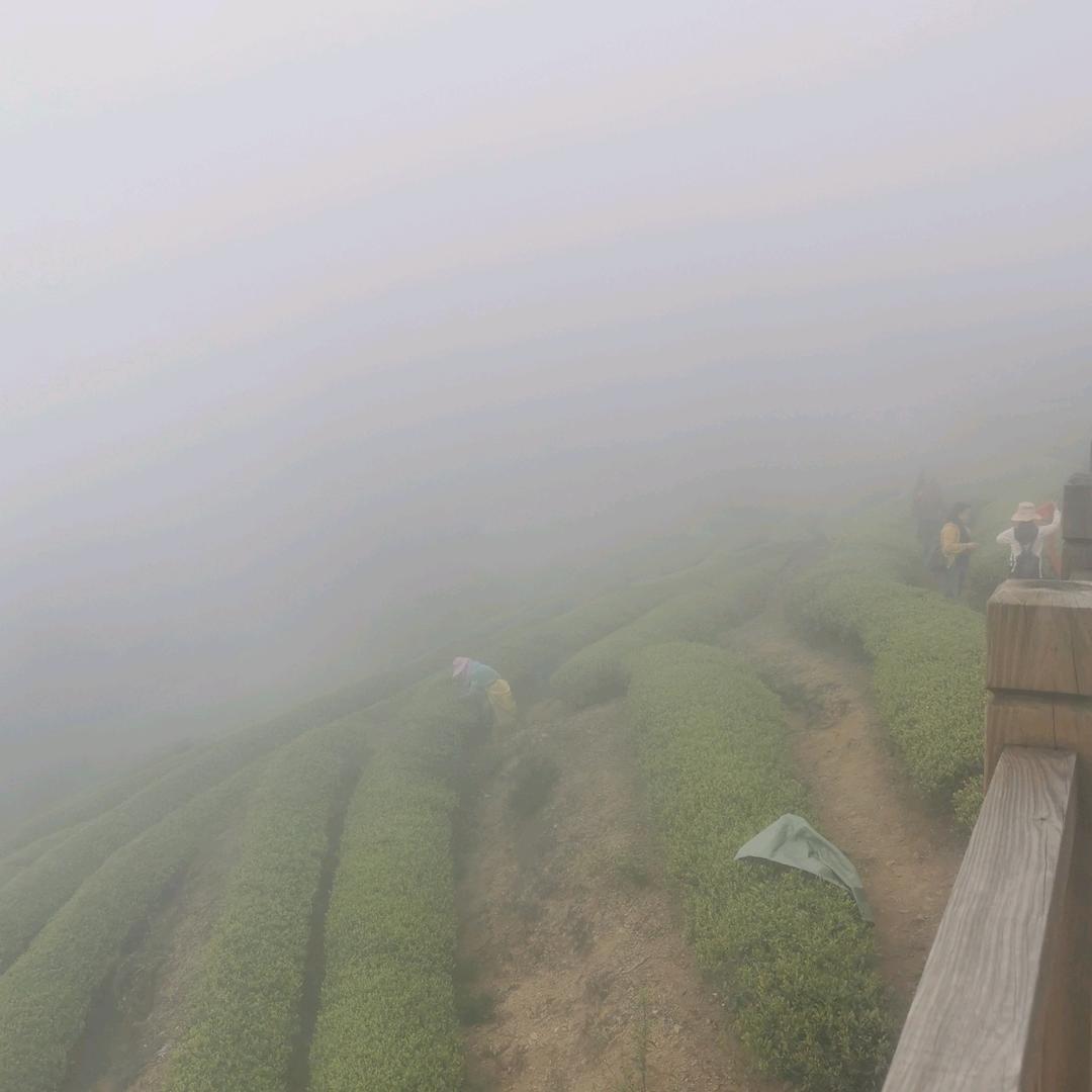 秋水无痕