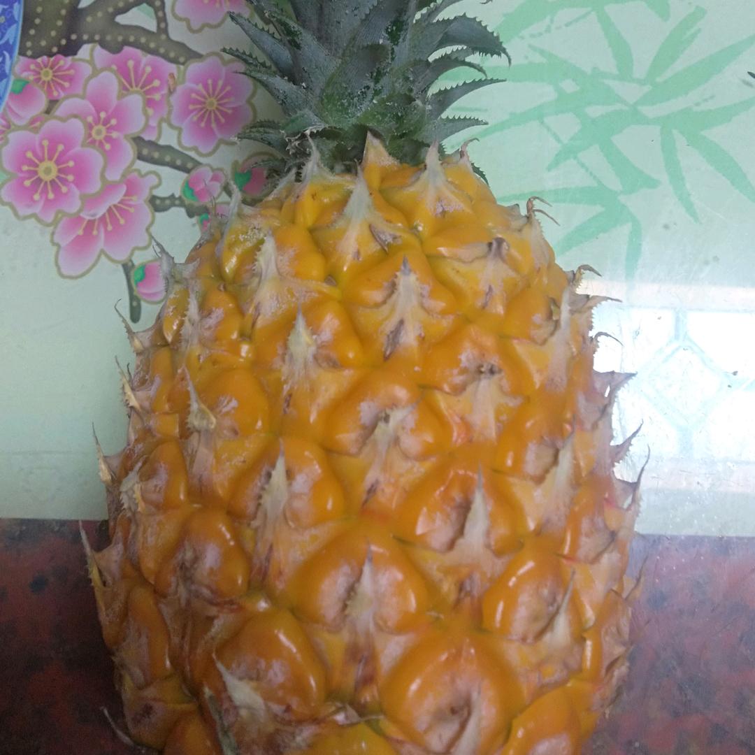 笑看人世繁华