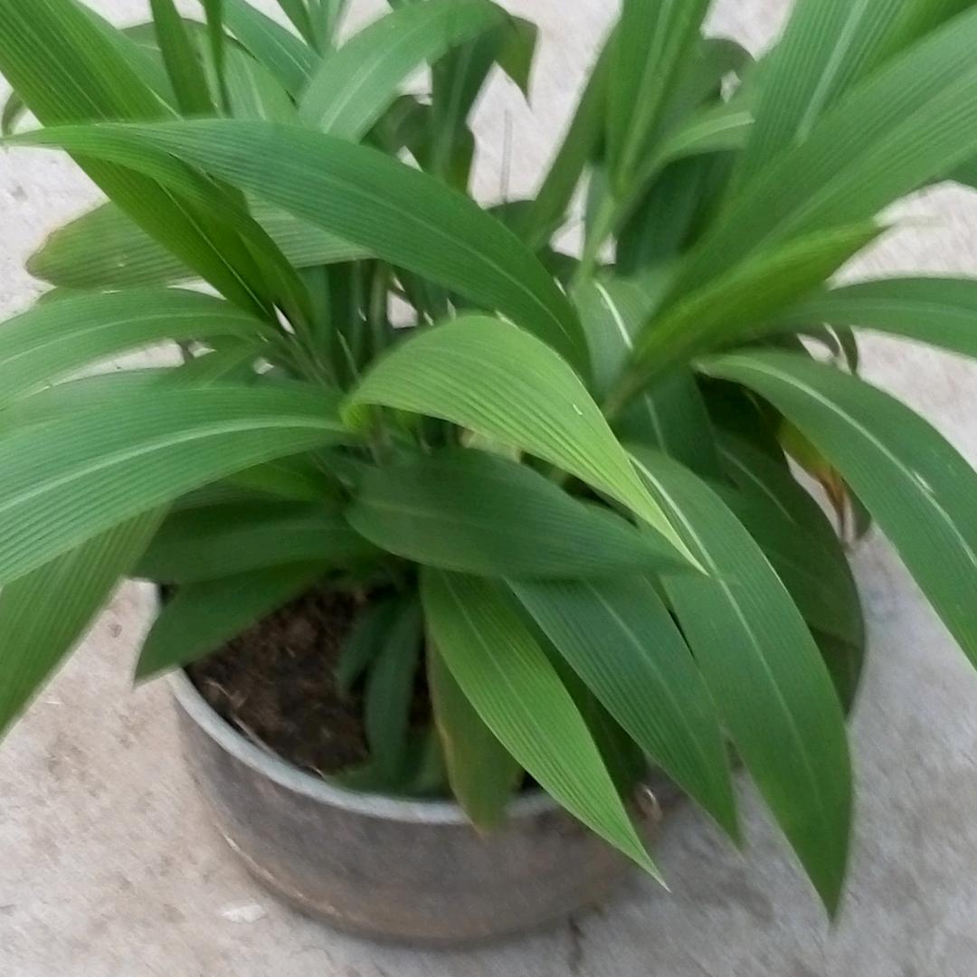 分享你的快乐