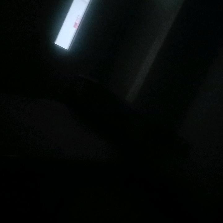 西北狼！