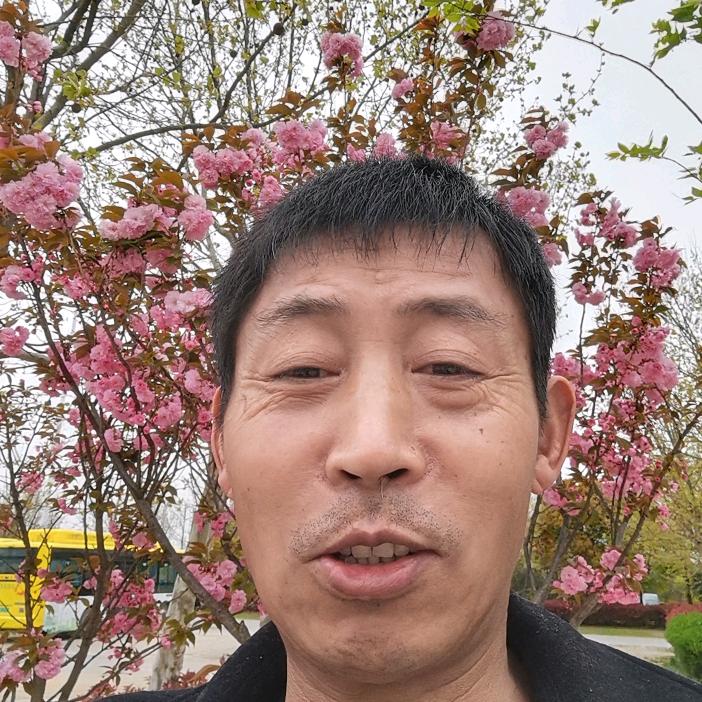 万顺哥