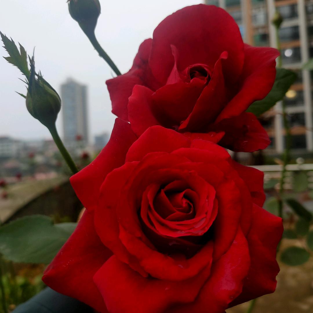 男人就是累_253345247