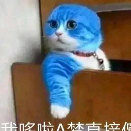 艾琳废品回收