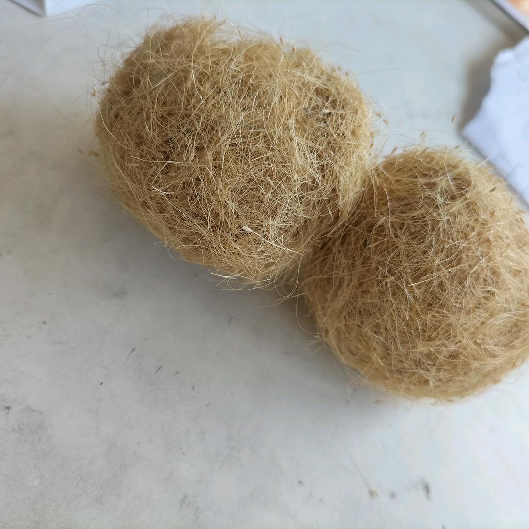 勇敢牛牛，不怕困难