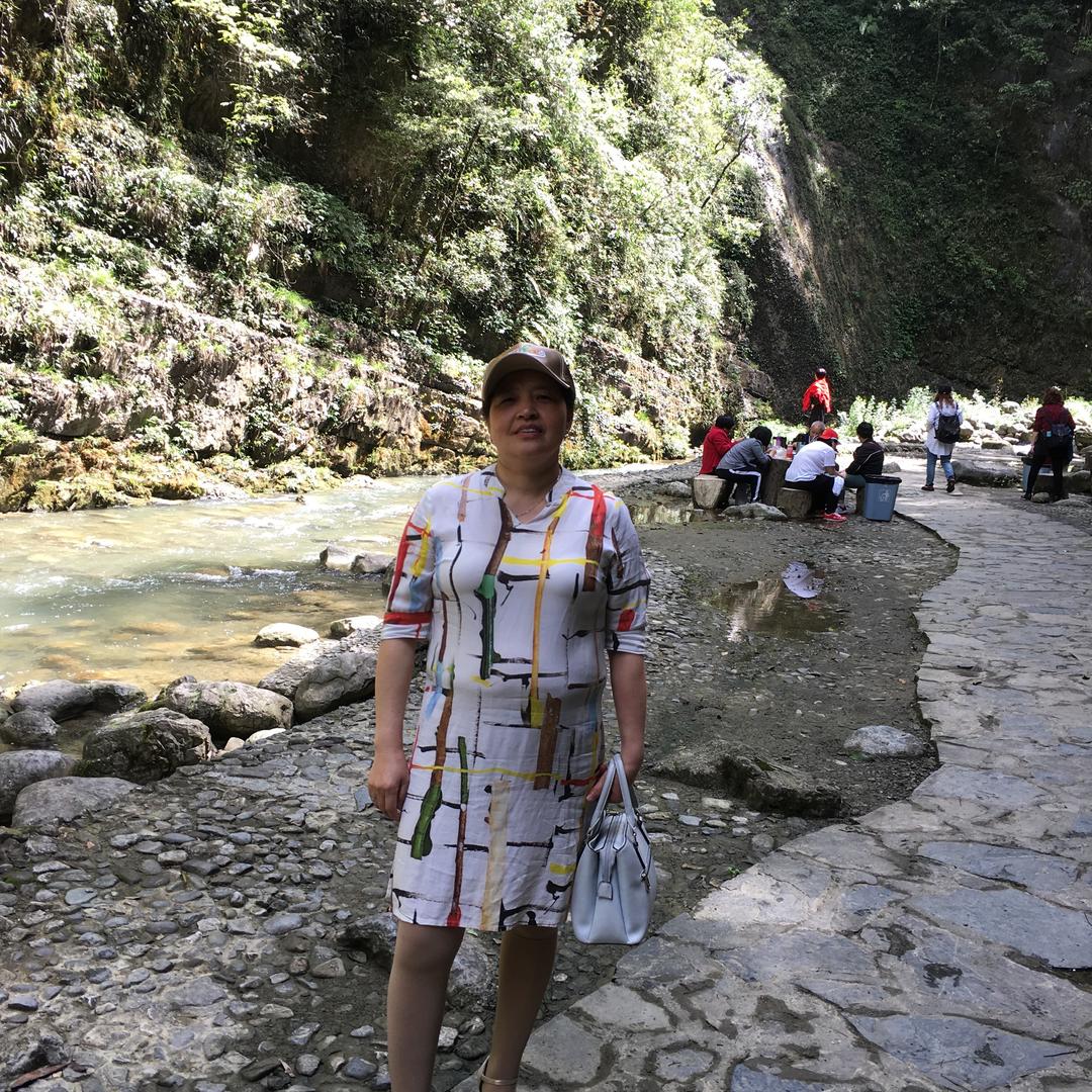 杉木玫瑰