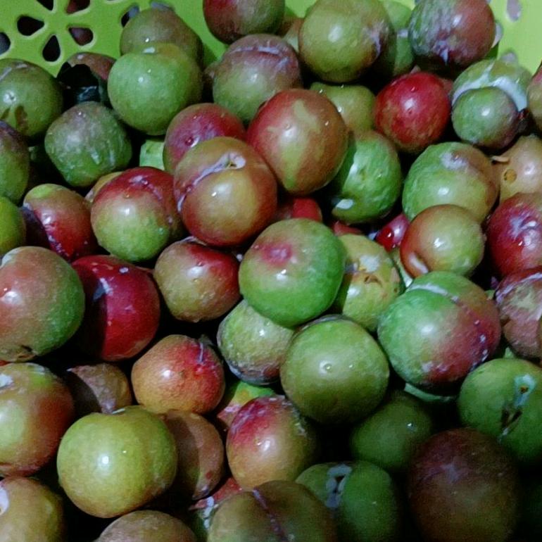 仙湖茶