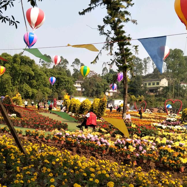 走自己的路，不言败