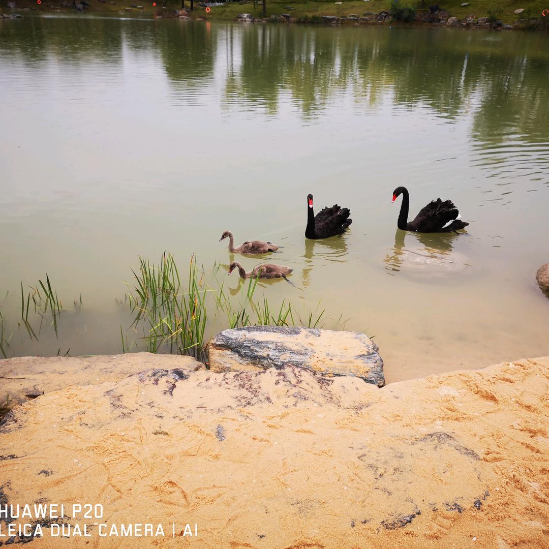 2000942577-唐诗玥