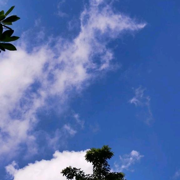 子涵_511——谢谢亲们关注