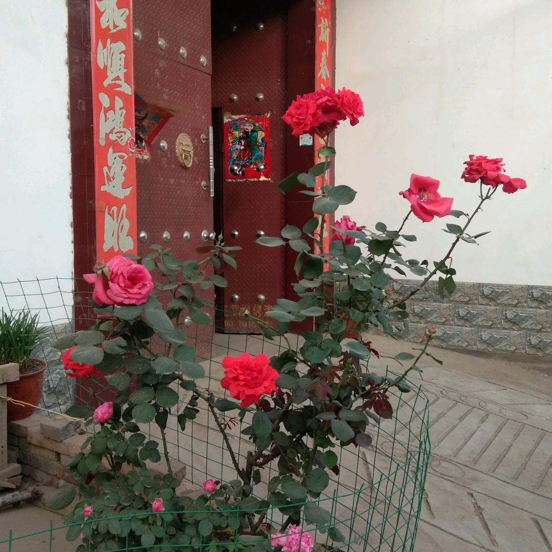 知足者常乐老彭