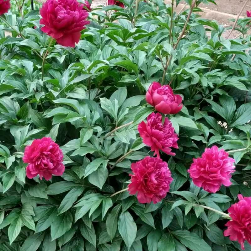 与世无争