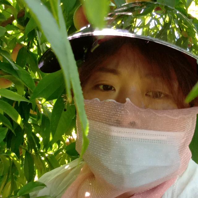 李💋某人