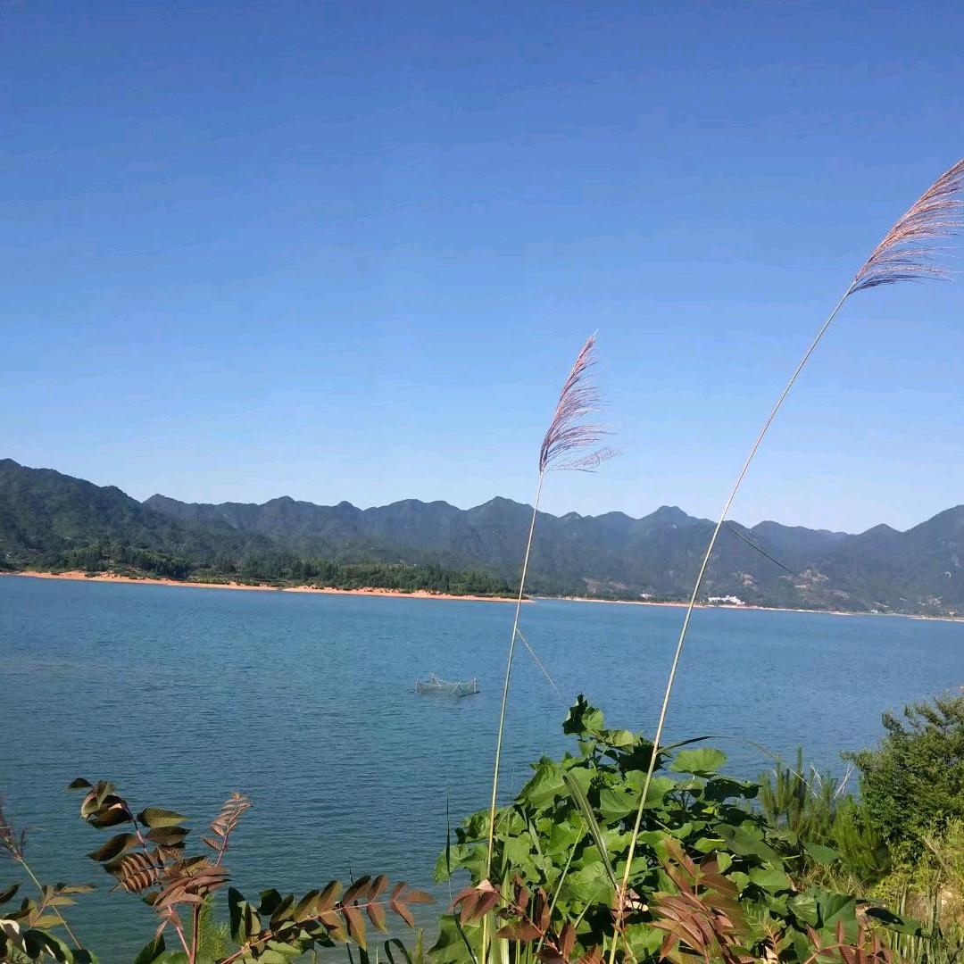 立淘美