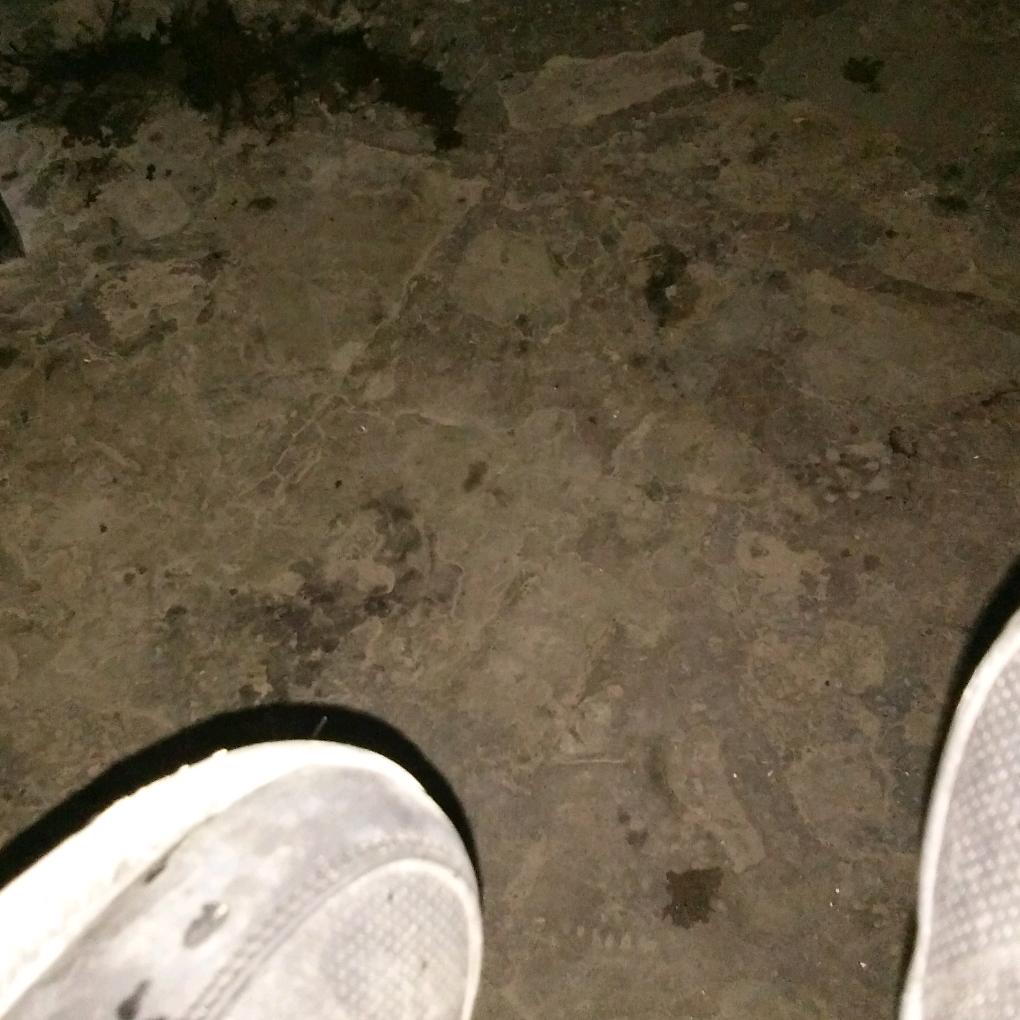 用户7396815231656