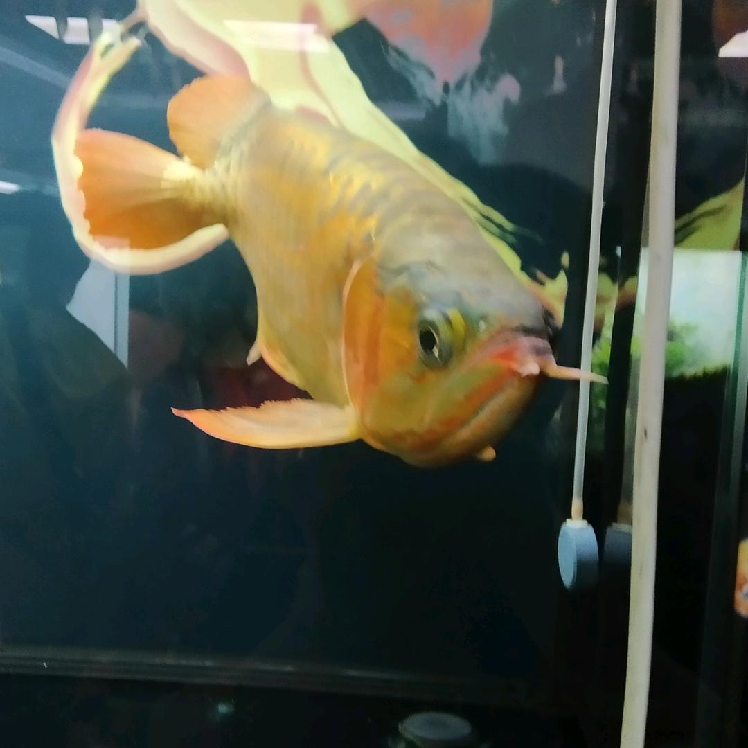 情缘