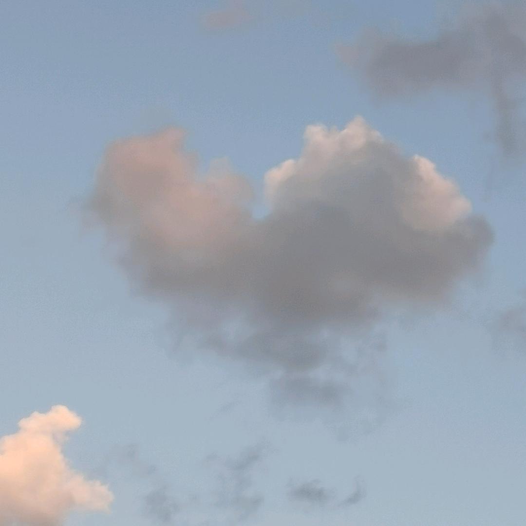 纯