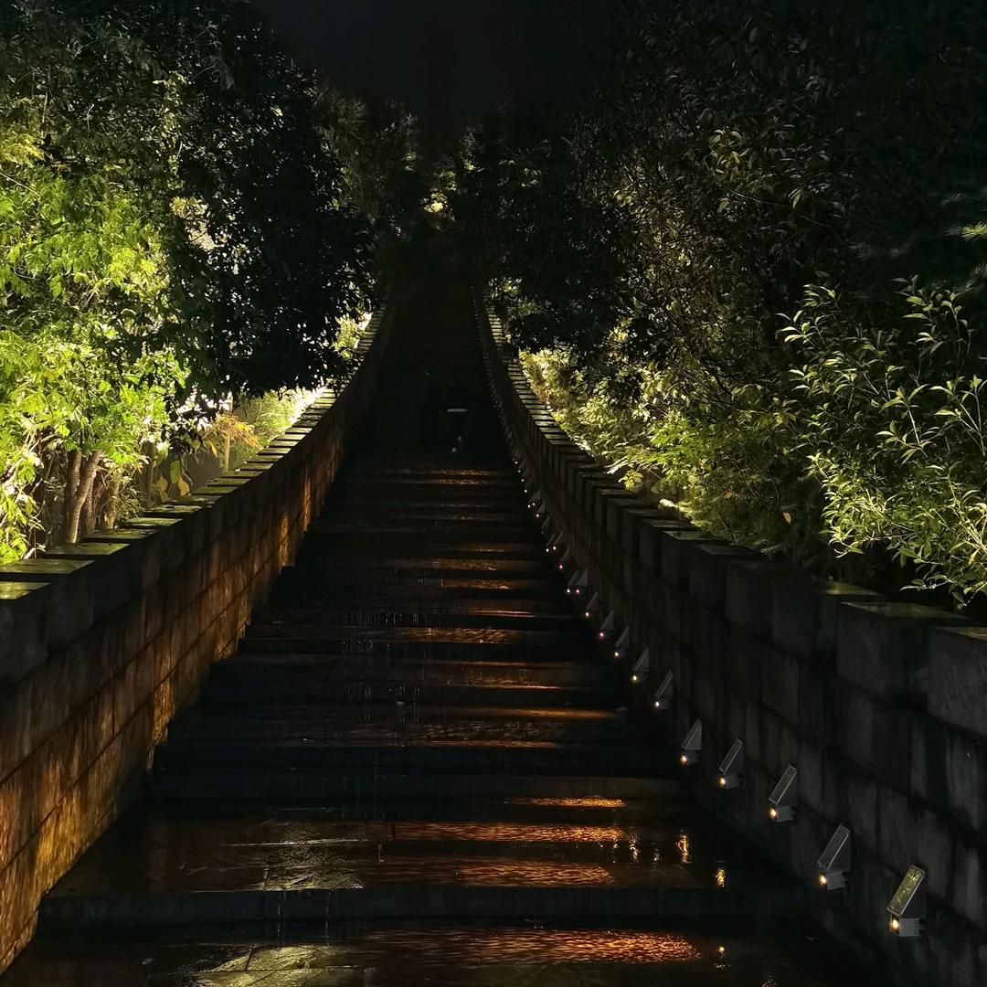 逍遥自在