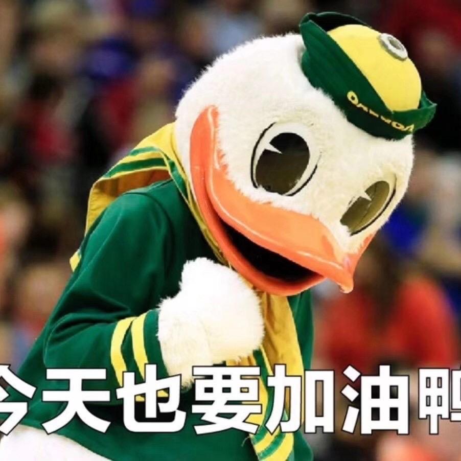 OOOOOOSL