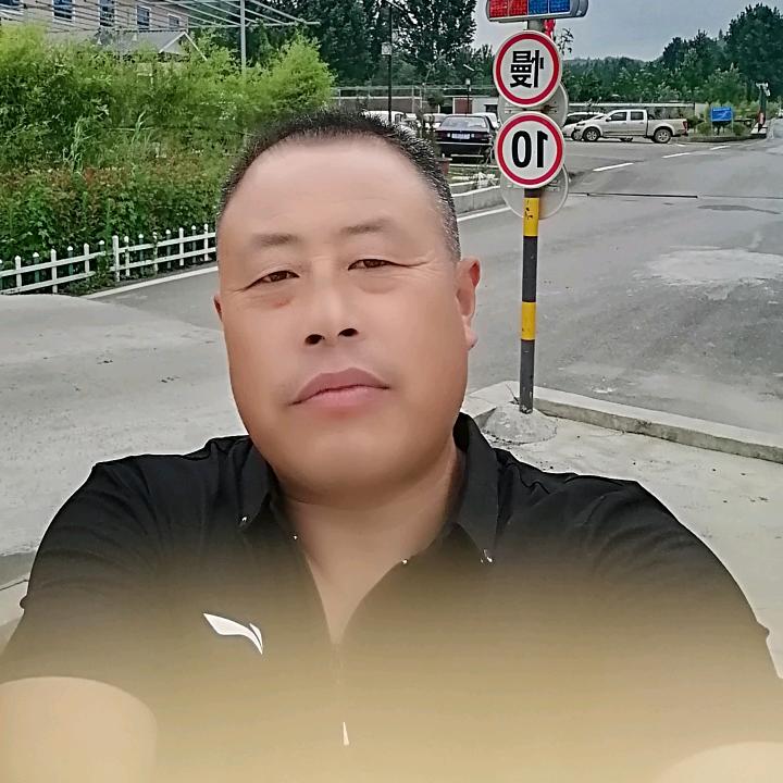 金强哥