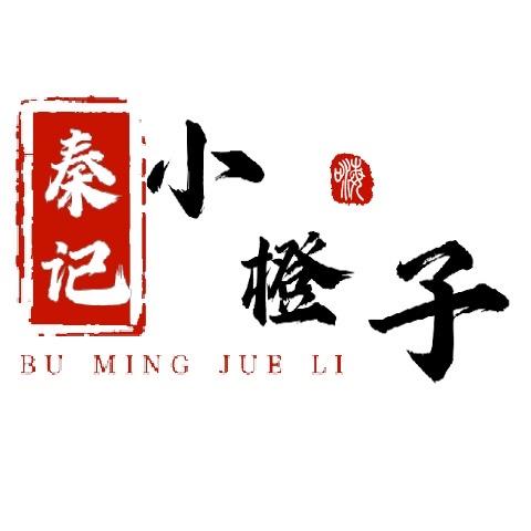 秦记小橙子辣条
