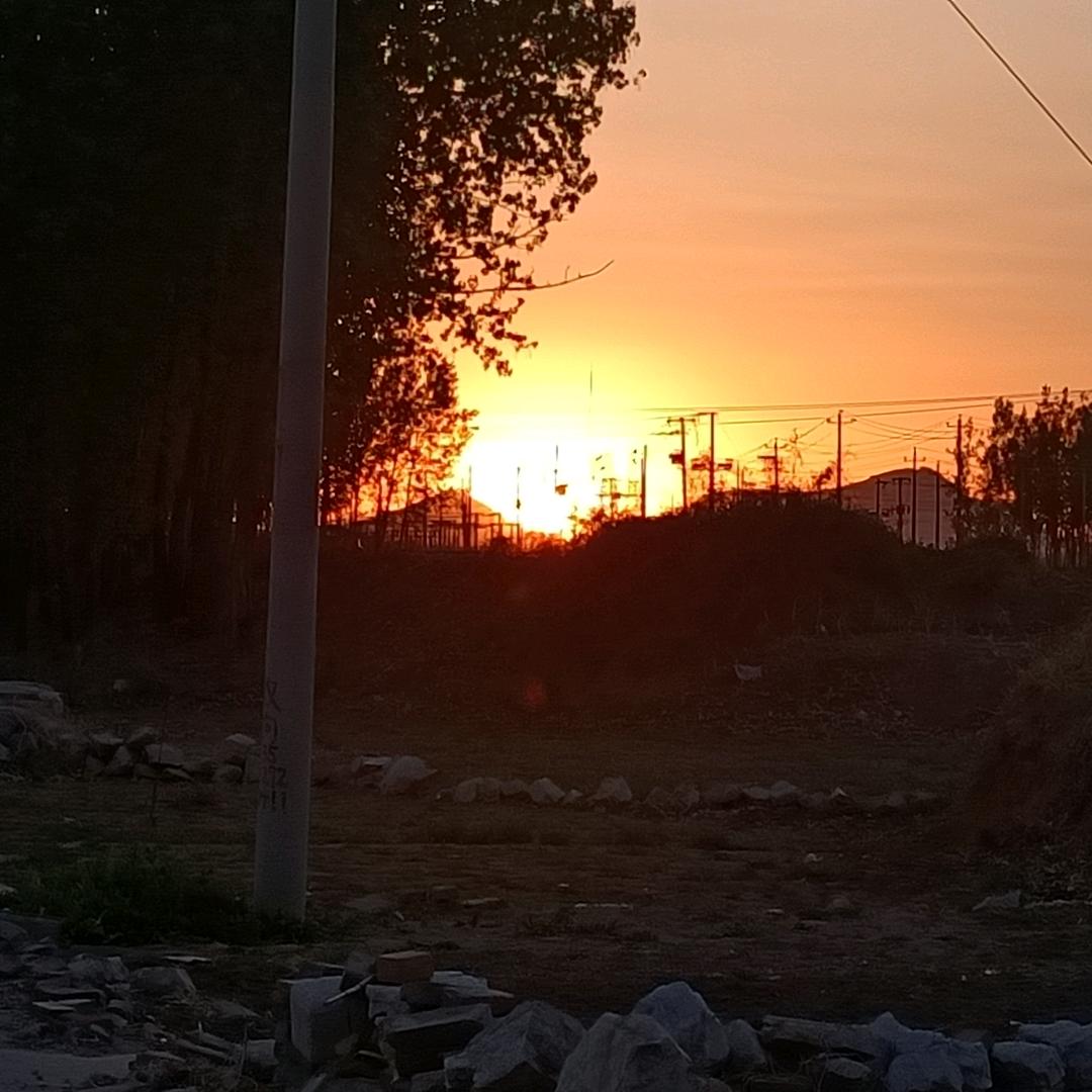 滴水玫瑰
