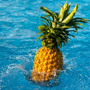 用户5824881862008忘忧草