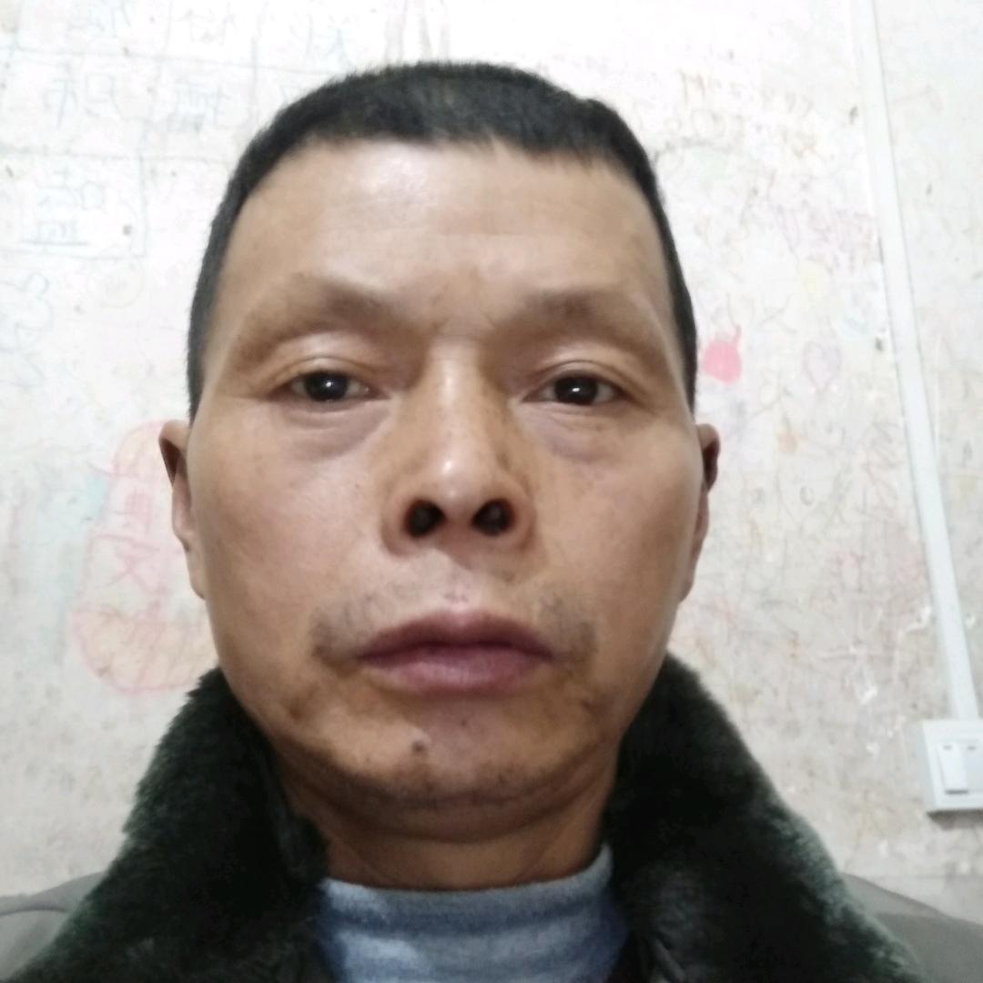 真情美，