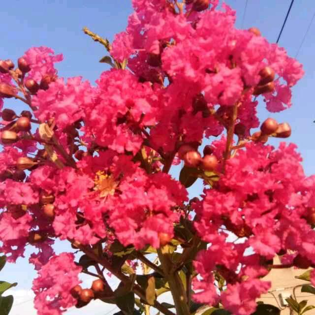 阳光