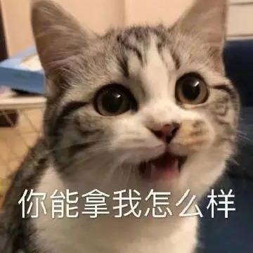 一口一个