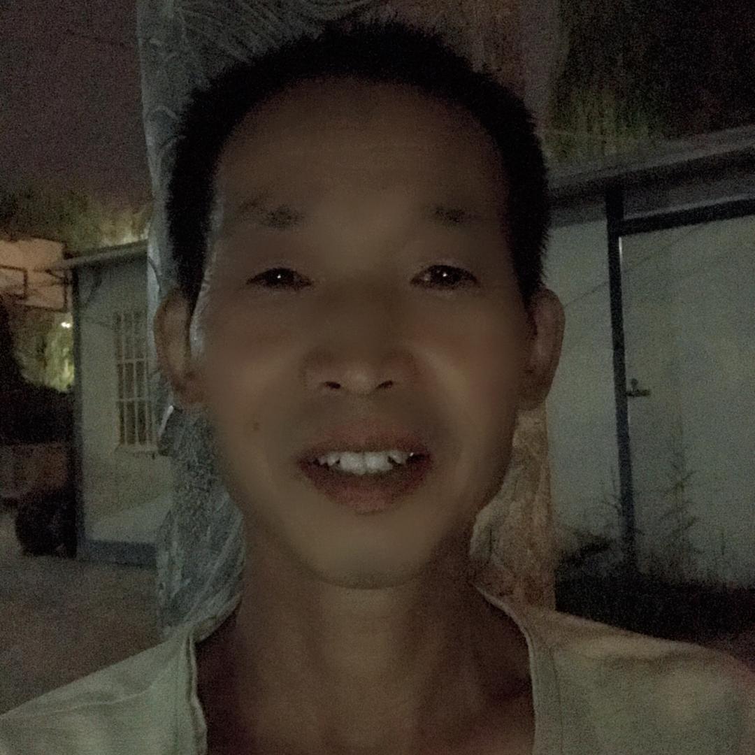 自由飞翔