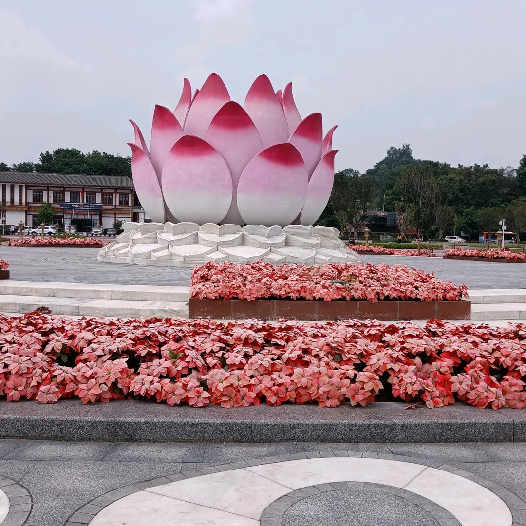 思念