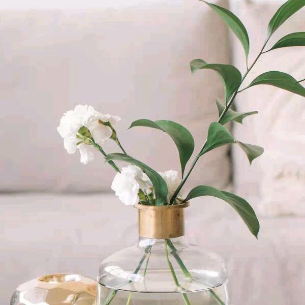 ☀️任我行☀️