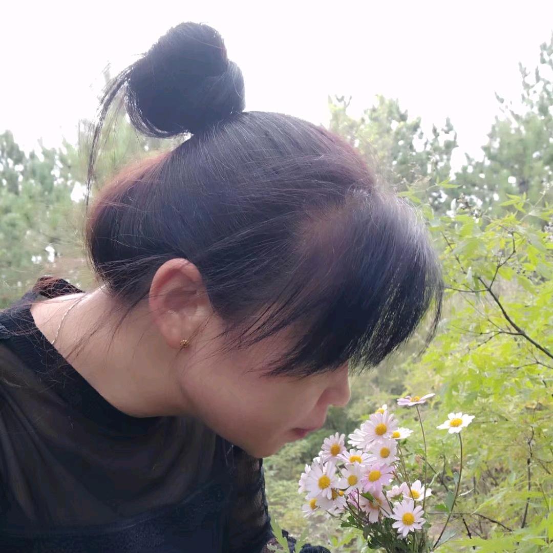 冰山雪莲