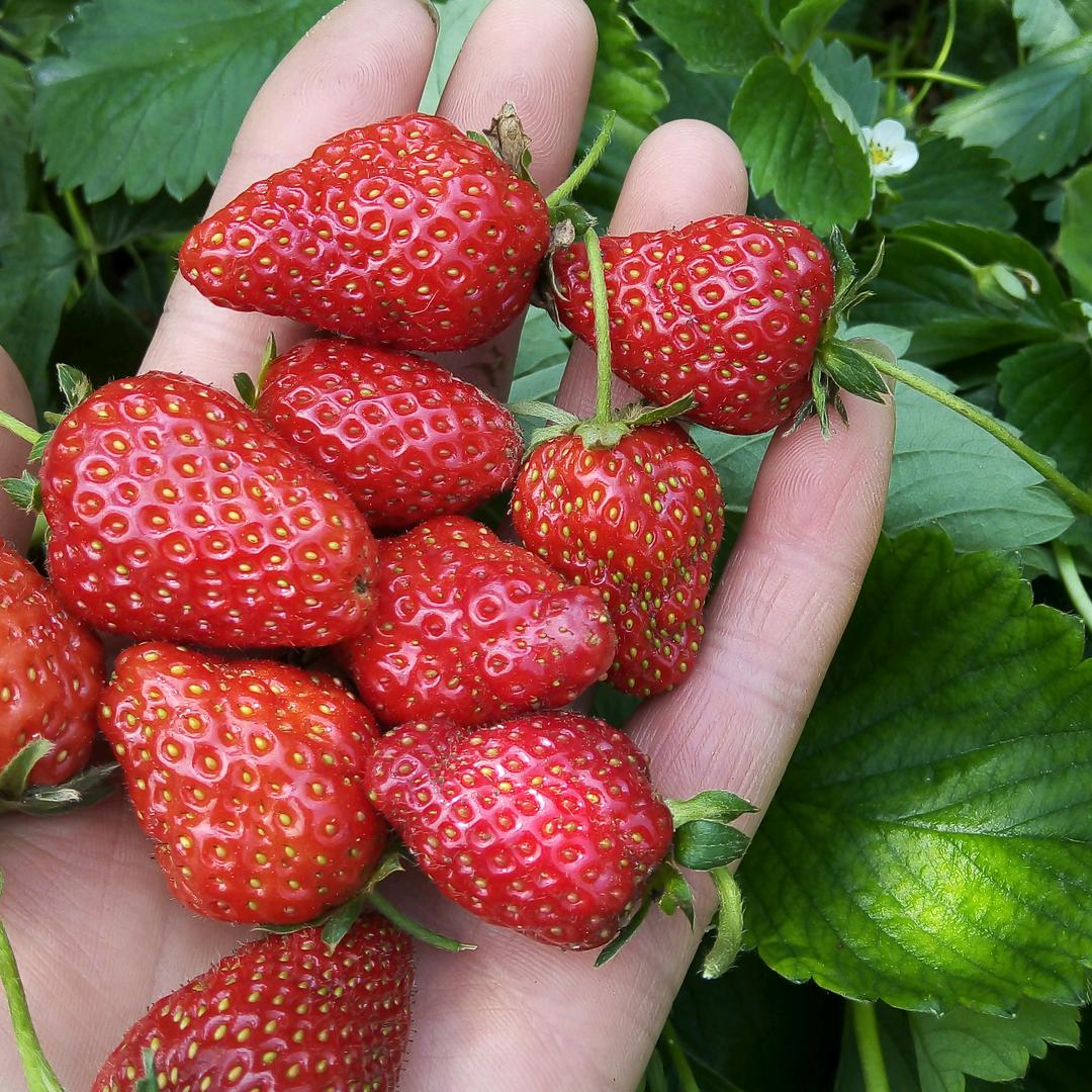 思念天堂的儿子2022年6月初5