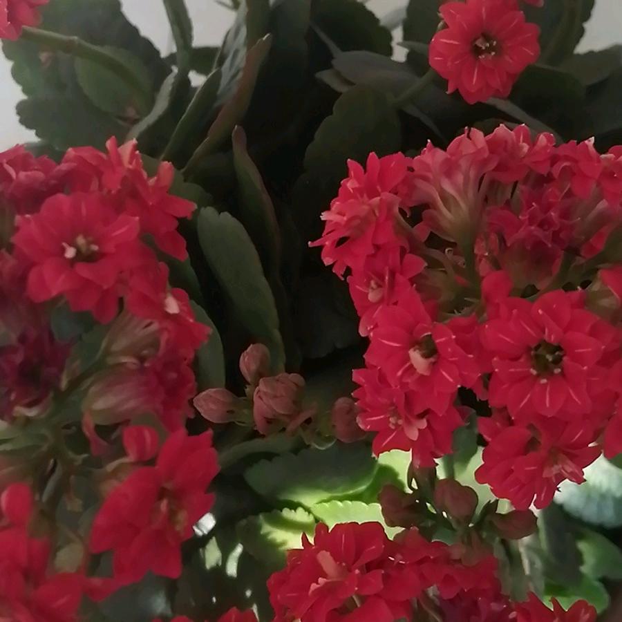 真惜生命，健康是福